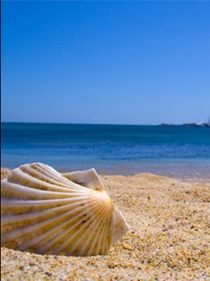 Finnscan Italian Tour Operator Staff Malcesine Verona Italy